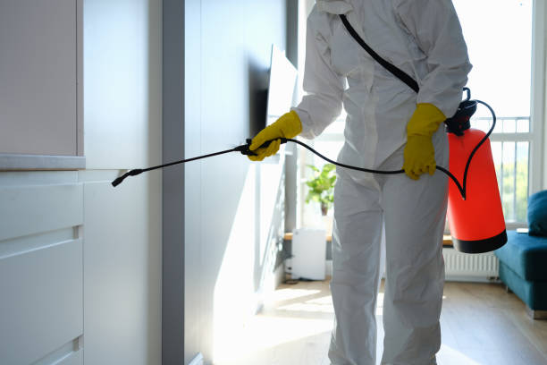 Best HVAC Mold Remediation in Brandermill, VA