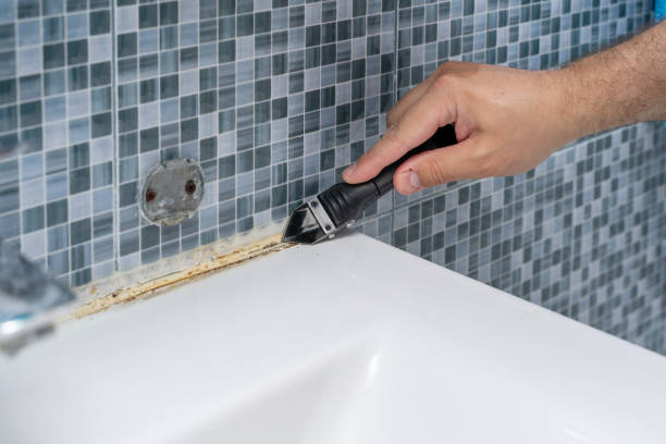 Best White Mold Remediation in Brandermill, VA